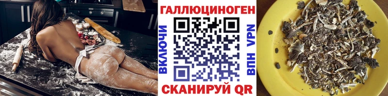 закладки Скопин Псилоцибиновые грибы мицелий